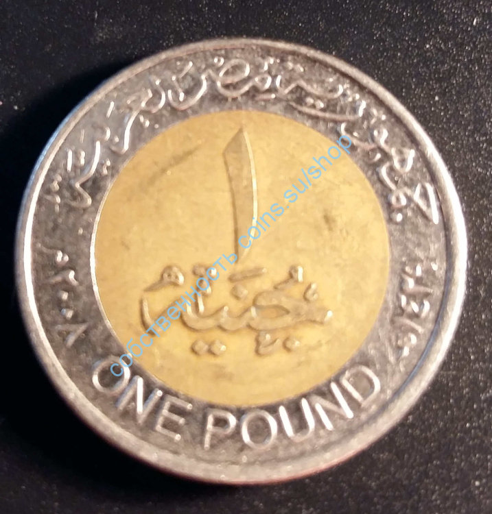 1 фунт 2005